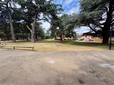 Picture 16
